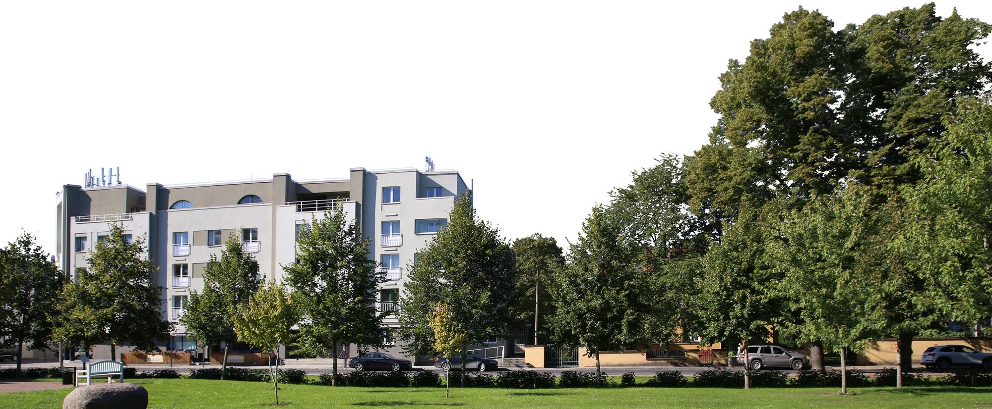 neighbourhood street with trees